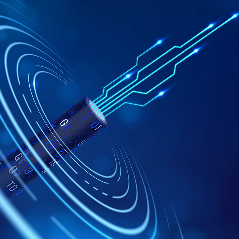 Lianou Electric Showcases Innovative Products at International Electrical Expo, Leading the Green Trend